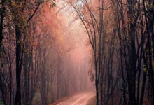 中国队获永川国际女足锦标赛冠军.