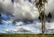 中国队获永川国际女足锦标赛冠军.