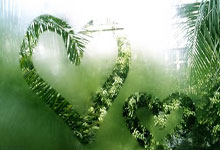 开云体育官网：德约科维奇：梅西来现场看我打球，对世界网坛是美妙时刻！.