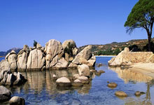 场地过于干燥，卡罗：场地没浇水，德国足协必须对此进行处罚.